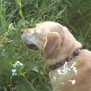 Meet your Posher, Holly